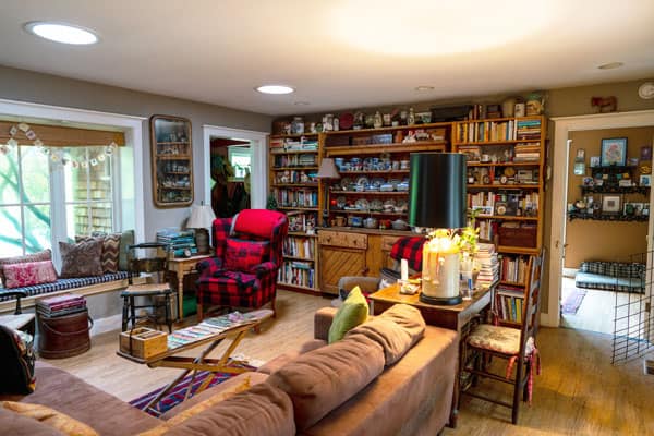 Dog friendly living room